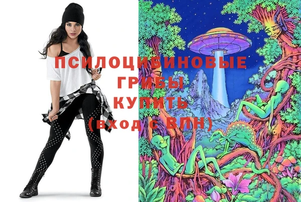 не бодяженный Касимов