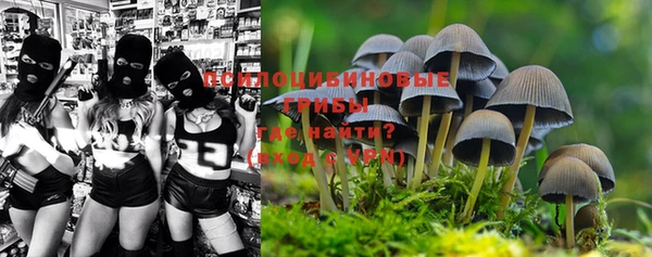 не бодяженный Касимов