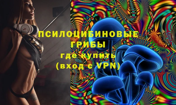 круглые Карпинск