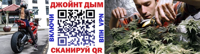 Каннабис ГИДРОПОН Гай
